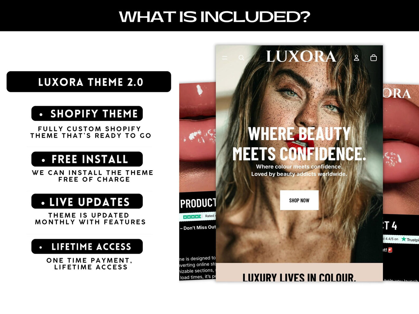 Premium Beauty Theme